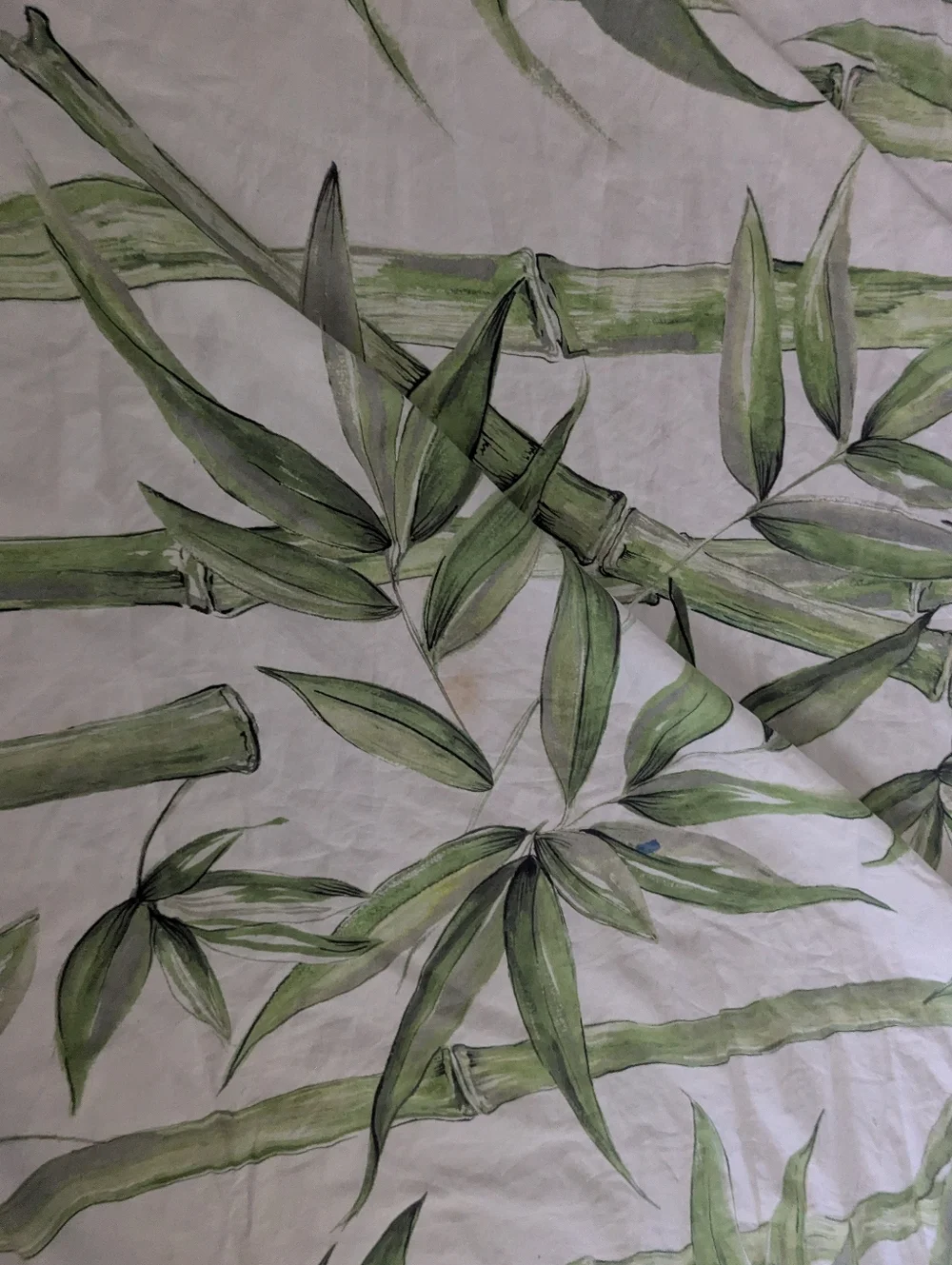 Pottery Barn White Green Bamboo Botanical Duvet Cover Full Queen Organic Cotton